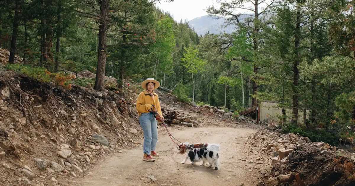 Golden Gate Canyon State Park: A Canine Playground